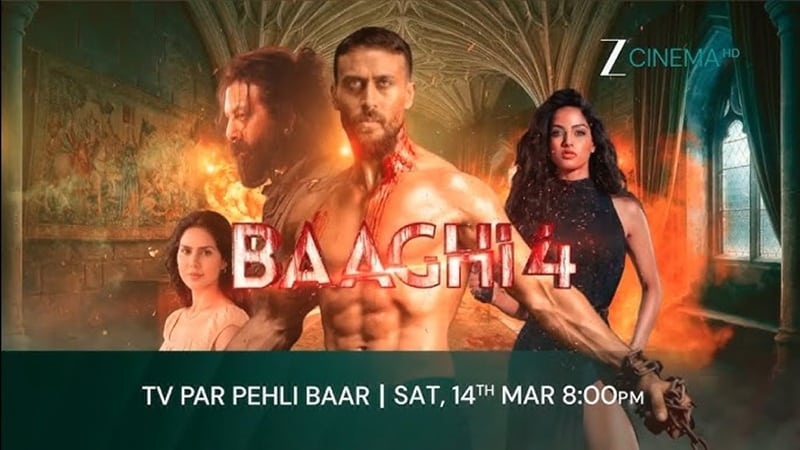 Baaghi 4 Movies